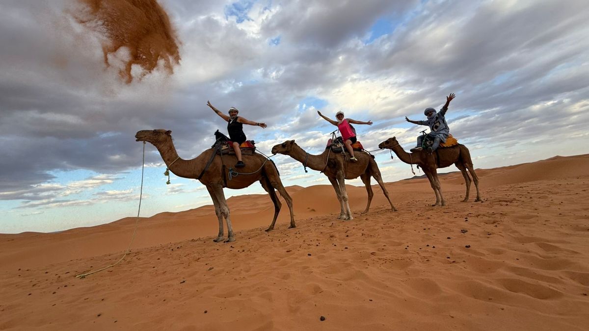 Camel rides
